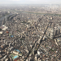 фото из отзыва ID 2111378