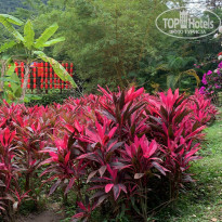 фото из отзыва ID 2114270