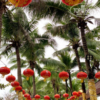 фото из отзыва ID 2114270