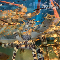 фото из отзыва ID 2114270