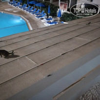 фото из отзыва ID 2116232