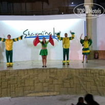 фото из отзыва ID 2116256