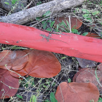 фото из отзыва ID 2116267