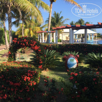 фото из отзыва ID 2116308