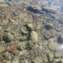 фото из отзыва ID 2115871