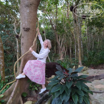 фото из отзыва ID 2115871