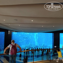 фото из отзыва ID 2115871