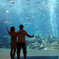 фото из отзыва ID 2115871