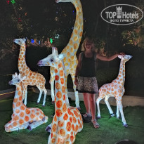 фото из отзыва ID 2115871