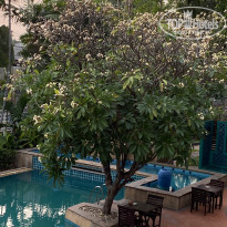 фото из отзыва ID 2116365