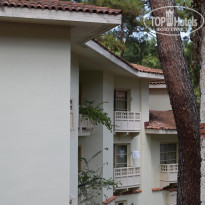 фото из отзыва ID 2116483