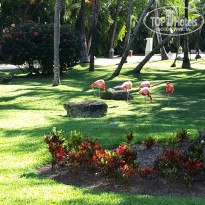 фото из отзыва ID 2116409