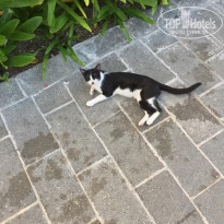 фото из отзыва ID 2116525