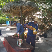 фото из отзыва ID 2116530