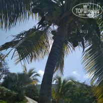 фото из отзыва ID 2116530