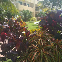 фото из отзыва ID 2116530