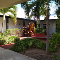 фото из отзыва ID 2116530