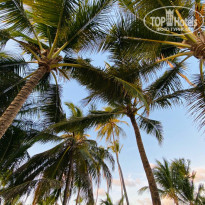 фото из отзыва ID 2116519