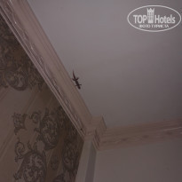 фото из отзыва ID 2116620