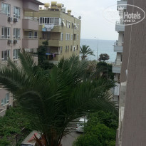 фото из отзыва ID 2116656