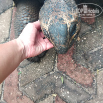 фото из отзыва ID 2116644