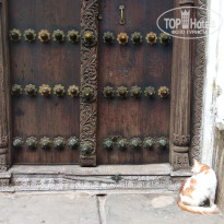 фото из отзыва ID 2116644