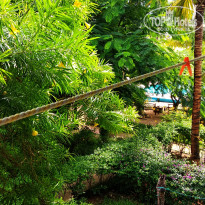 фото из отзыва ID 2116644