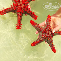 фото из отзыва ID 2116644