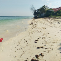 фото из отзыва ID 2116644