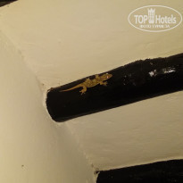 фото из отзыва ID 2116644