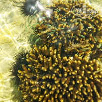 фото из отзыва ID 2116644