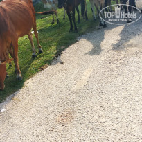 фото из отзыва ID 2116644