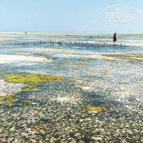 фото из отзыва ID 2116644