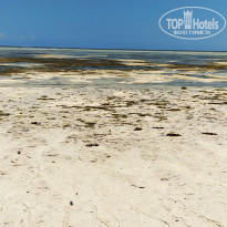 фото из отзыва ID 2116644