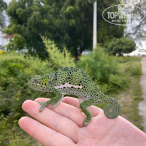 фото из отзыва ID 2116644