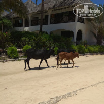 фото из отзыва ID 2116644