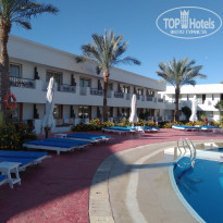 фото из отзыва ID 2116735