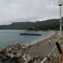 фото из отзыва ID 2116663