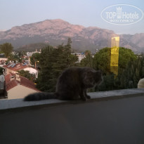 фото из отзыва ID 2116663