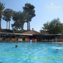 фото из отзыва ID 2116962