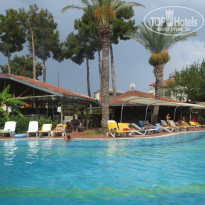 фото из отзыва ID 2116962