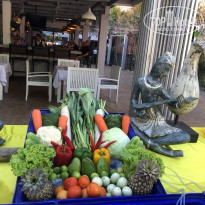 фото из отзыва ID 2116960