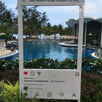 фото из отзыва ID 2116973