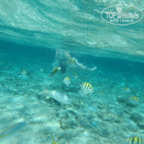 фото из отзыва ID 2117028