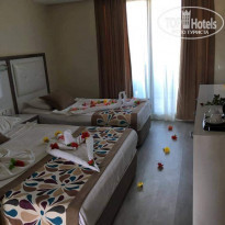 фото из отзыва ID 2117046