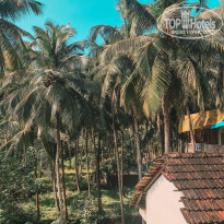 фото из отзыва ID 2117033