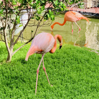 фото из отзыва ID 2117100