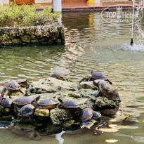 фото из отзыва ID 2117100