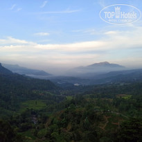 фото из отзыва ID 2117160