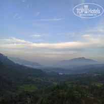 фото из отзыва ID 2117160